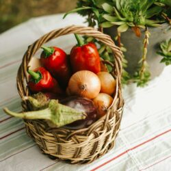 Panier de légumes MEDIUM