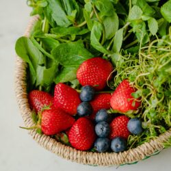 Panier fruits MEDIUM