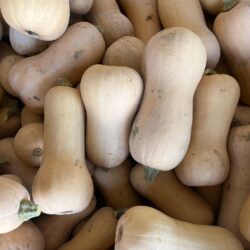 Butternut