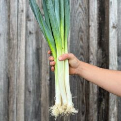 Poireaux