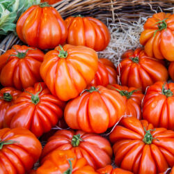 Tomates Buffalo Steak