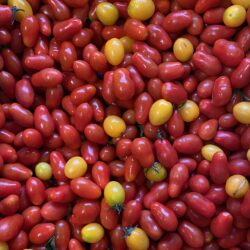 Tomates cerises Apéro